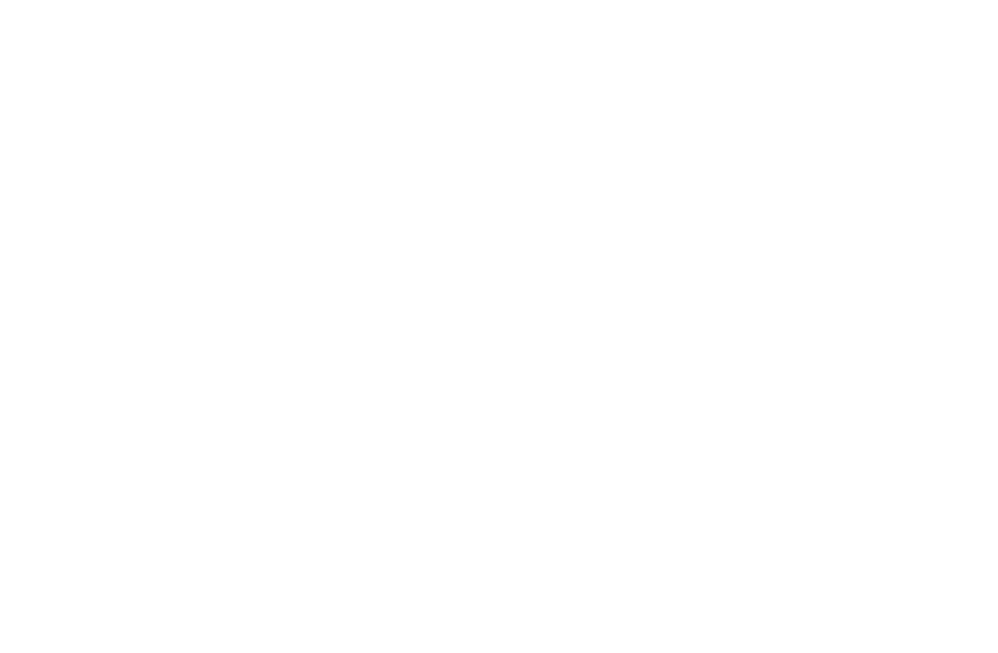 Molly's place logo