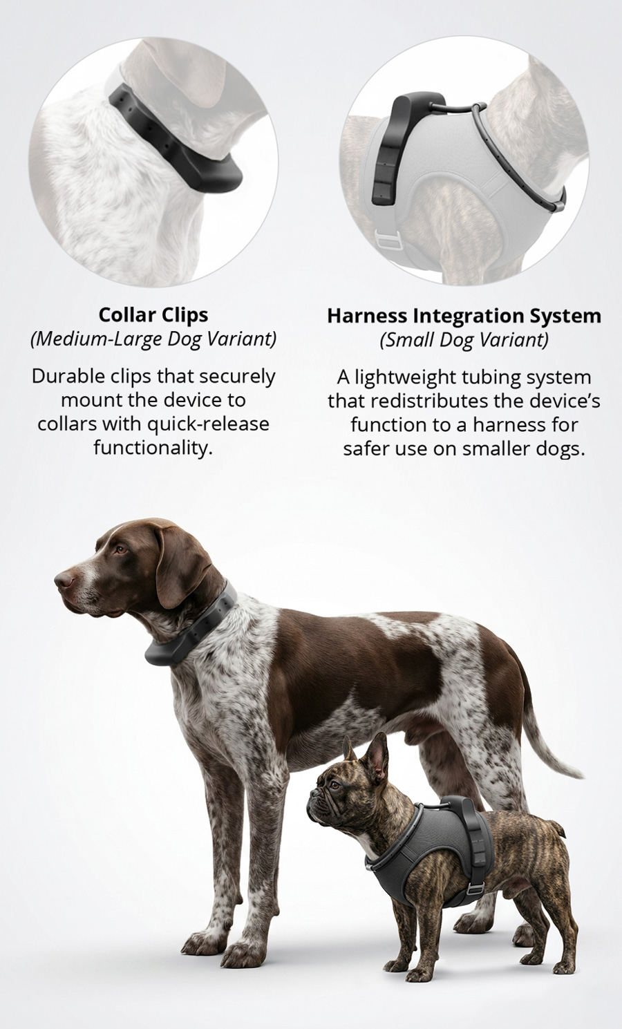 collar-context collar size variants